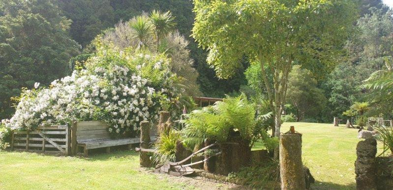 Blackfern Lodge Waimiha Extérieur photo